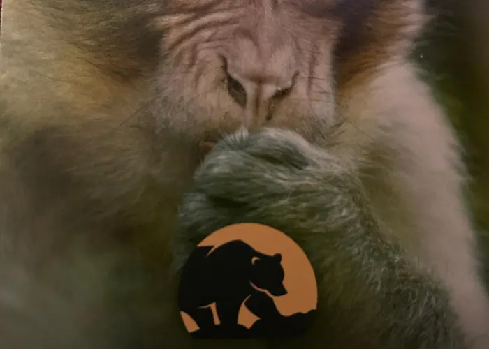 Domaine Saint Martin 4 Etoiles Campsite *